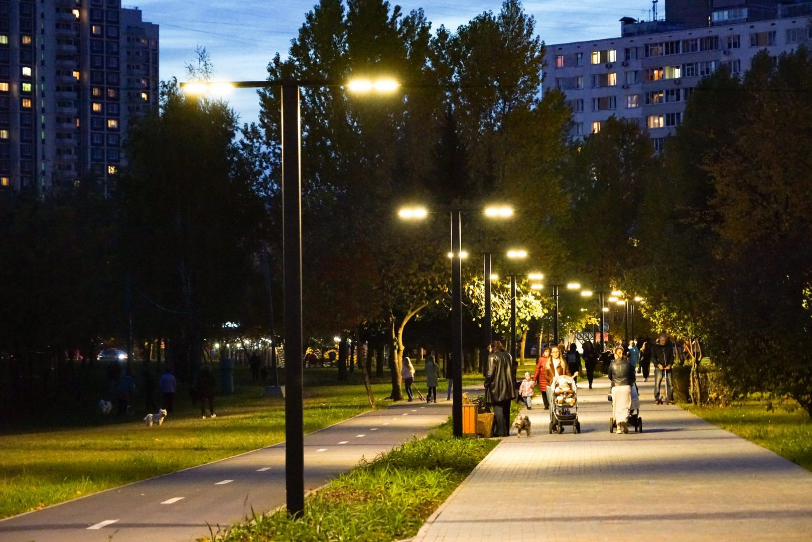 ����� ���������